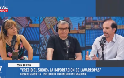 La importación de lavarropas aumentó un 5.000%.
